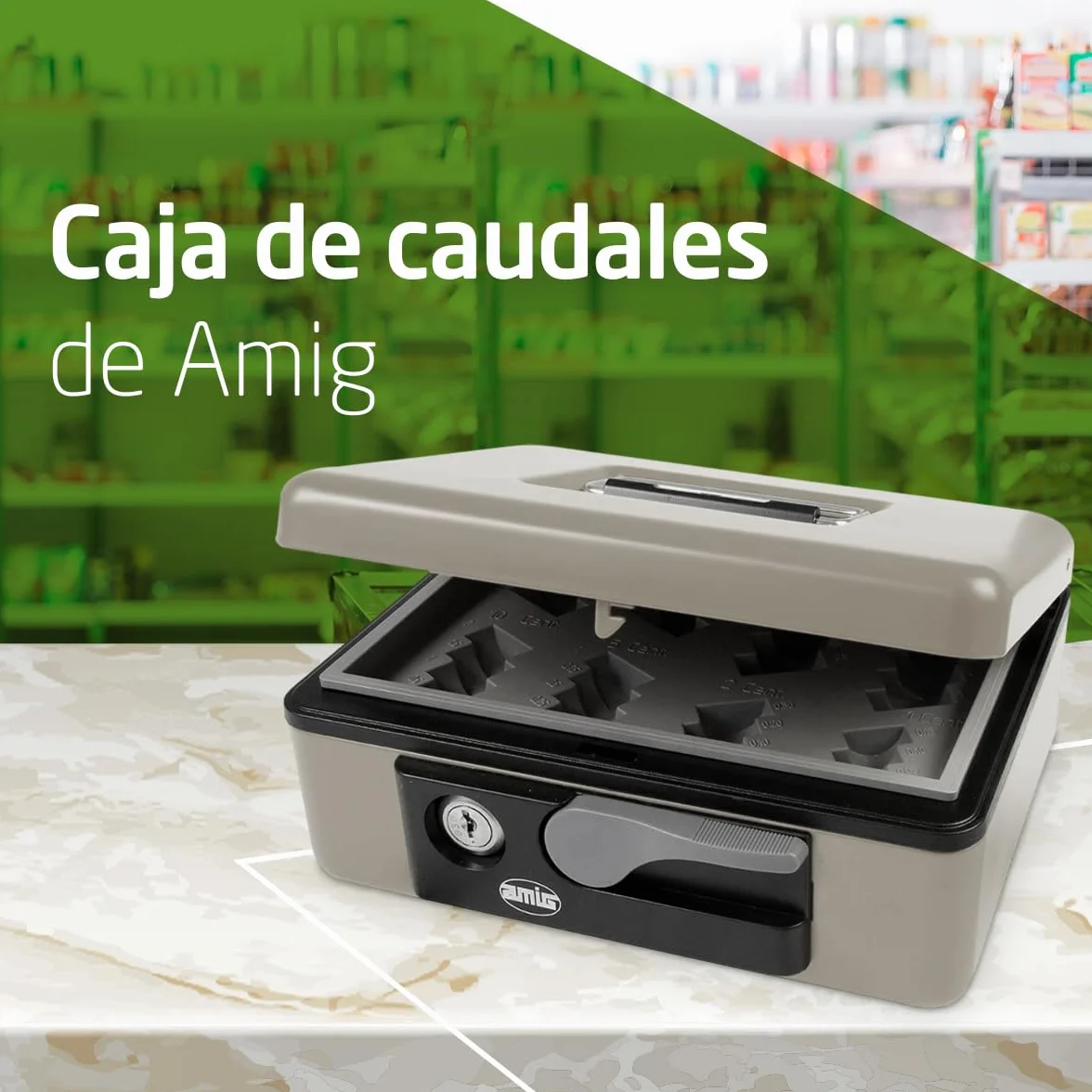 Amig Caja de seguridad para dinero billetes monedas gris acero 230x185x80 mm