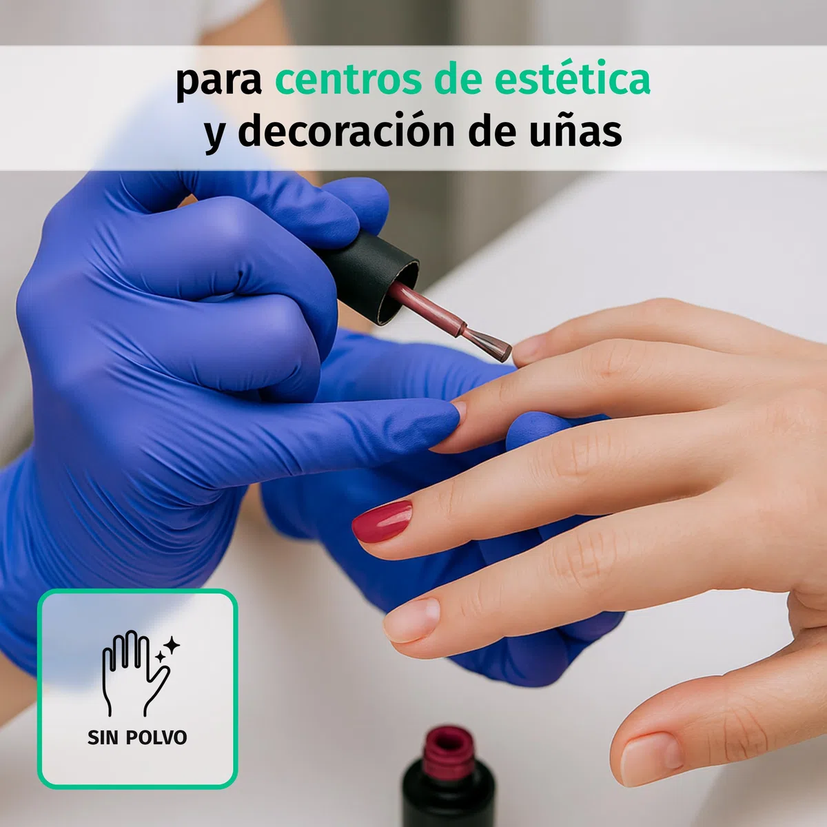 SF Guantes de nitrilo L violetas – 1000 (10x100) unidades, guantes desechables sin polvo, sin látex, médicos y de examen, aptos para cocina, limpieza, cosmética y uso doméstico